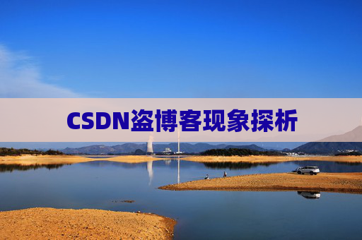 CSDN盗博客现象探析